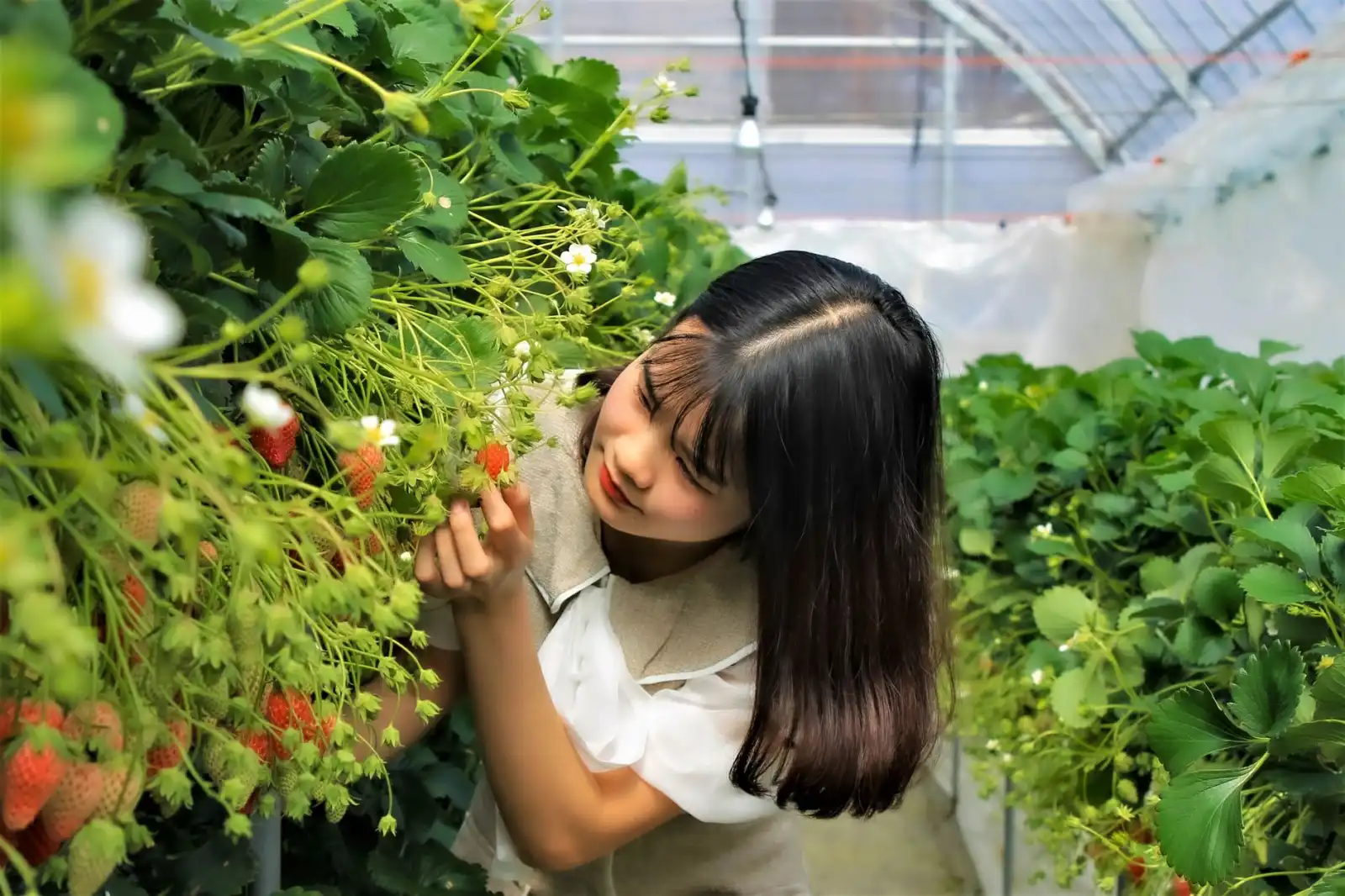 2025年电子档案软件技术演进与政府行业应用新趋势