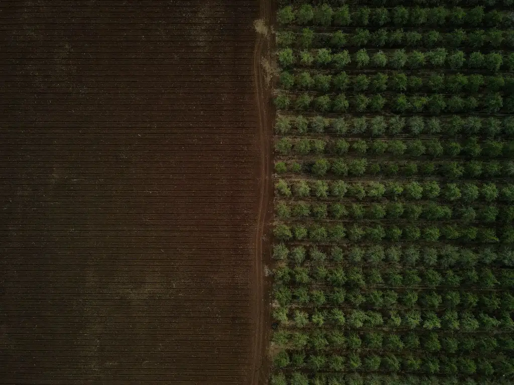 电子档案软件与影像管理软件在政务档案数字化中的应用趋势分析