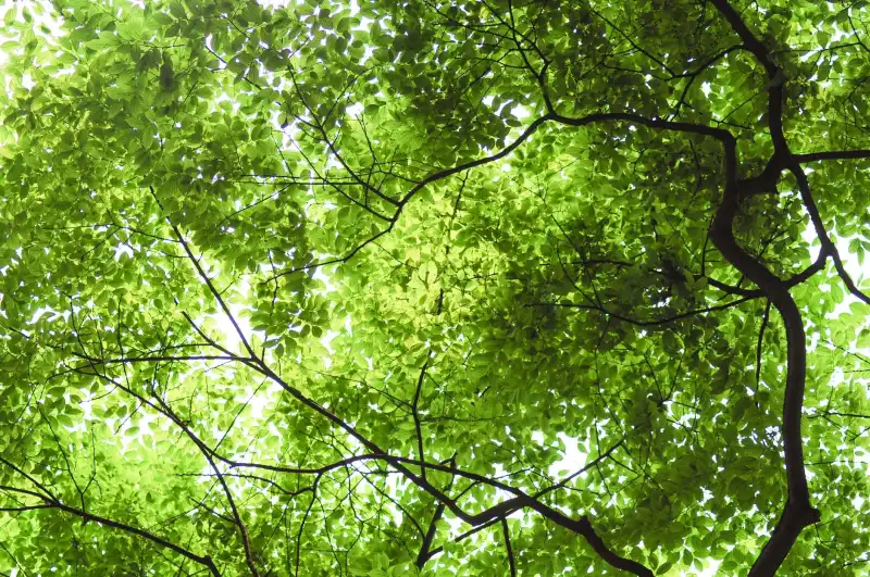 汇世纪影像管理软件在政府档案数字化中的实施要点
